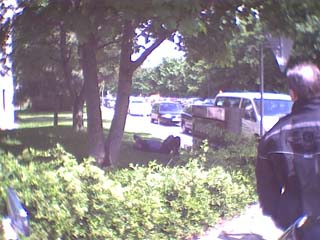 der mit der Wiese k�mpft *g*